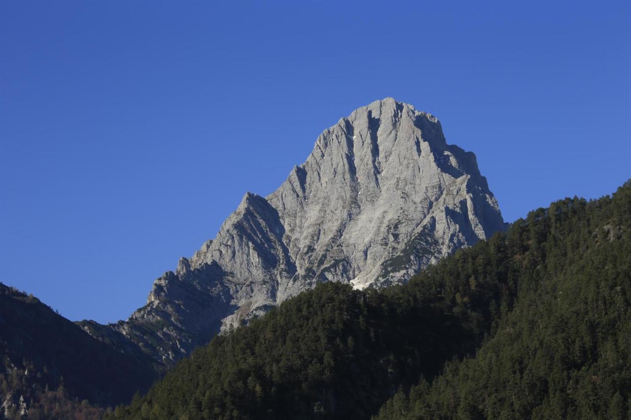 Ferienwohnung Pyhrgasblick Rosenau am Hengstpass Экстерьер фото