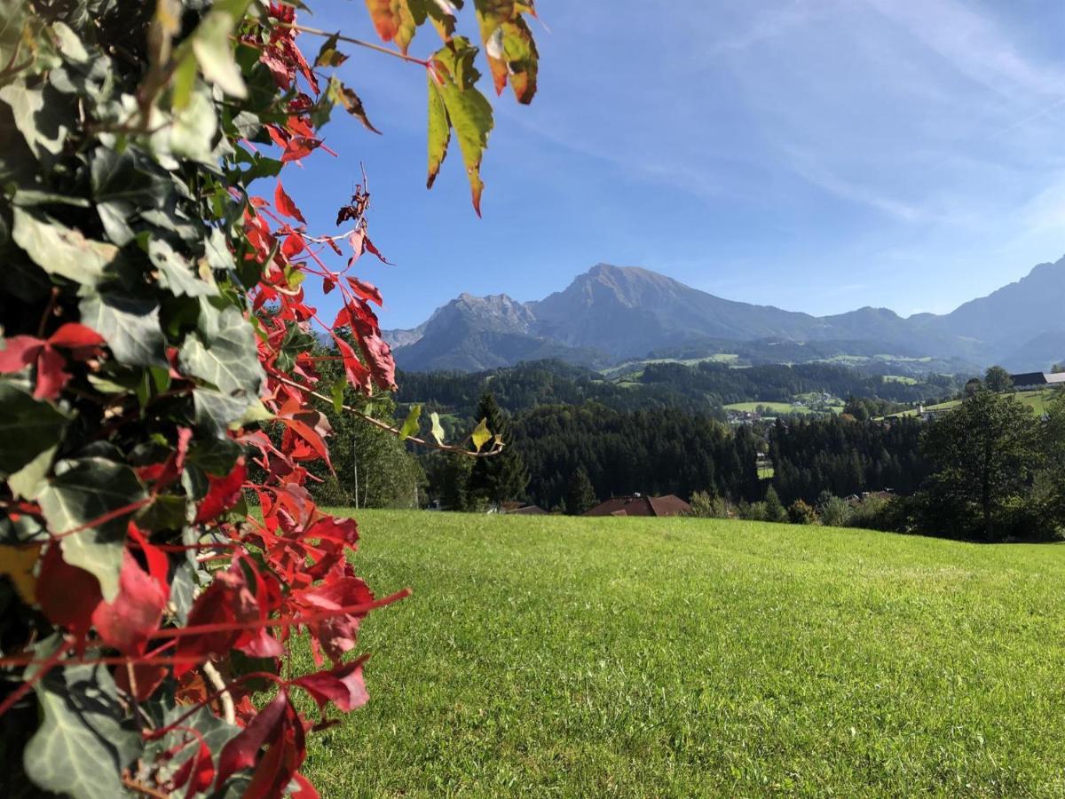 Ferienwohnung Pyhrgasblick Rosenau am Hengstpass Экстерьер фото