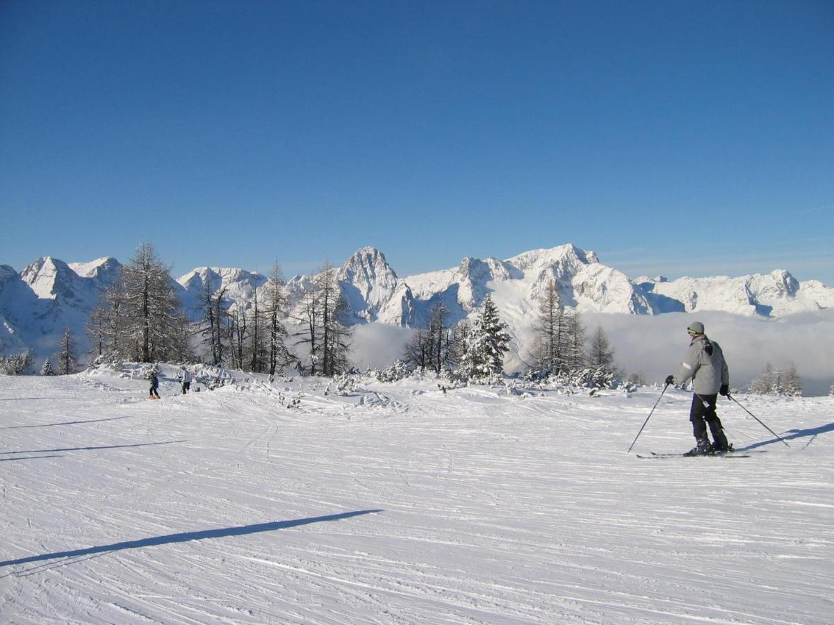 Ferienwohnung Pyhrgasblick Rosenau am Hengstpass Экстерьер фото