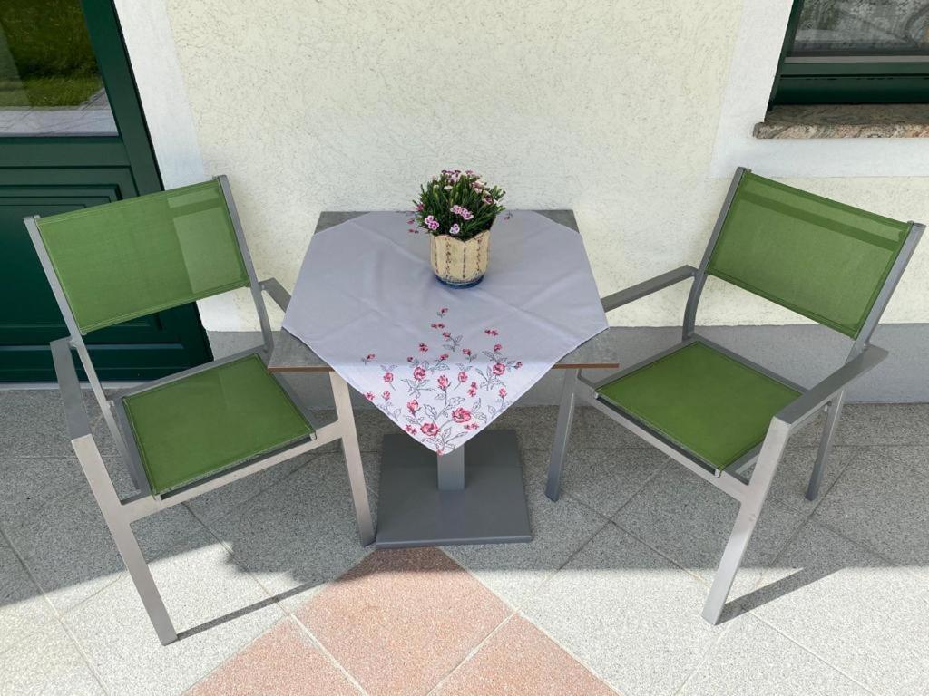 Ferienwohnung Pyhrgasblick Rosenau am Hengstpass Экстерьер фото