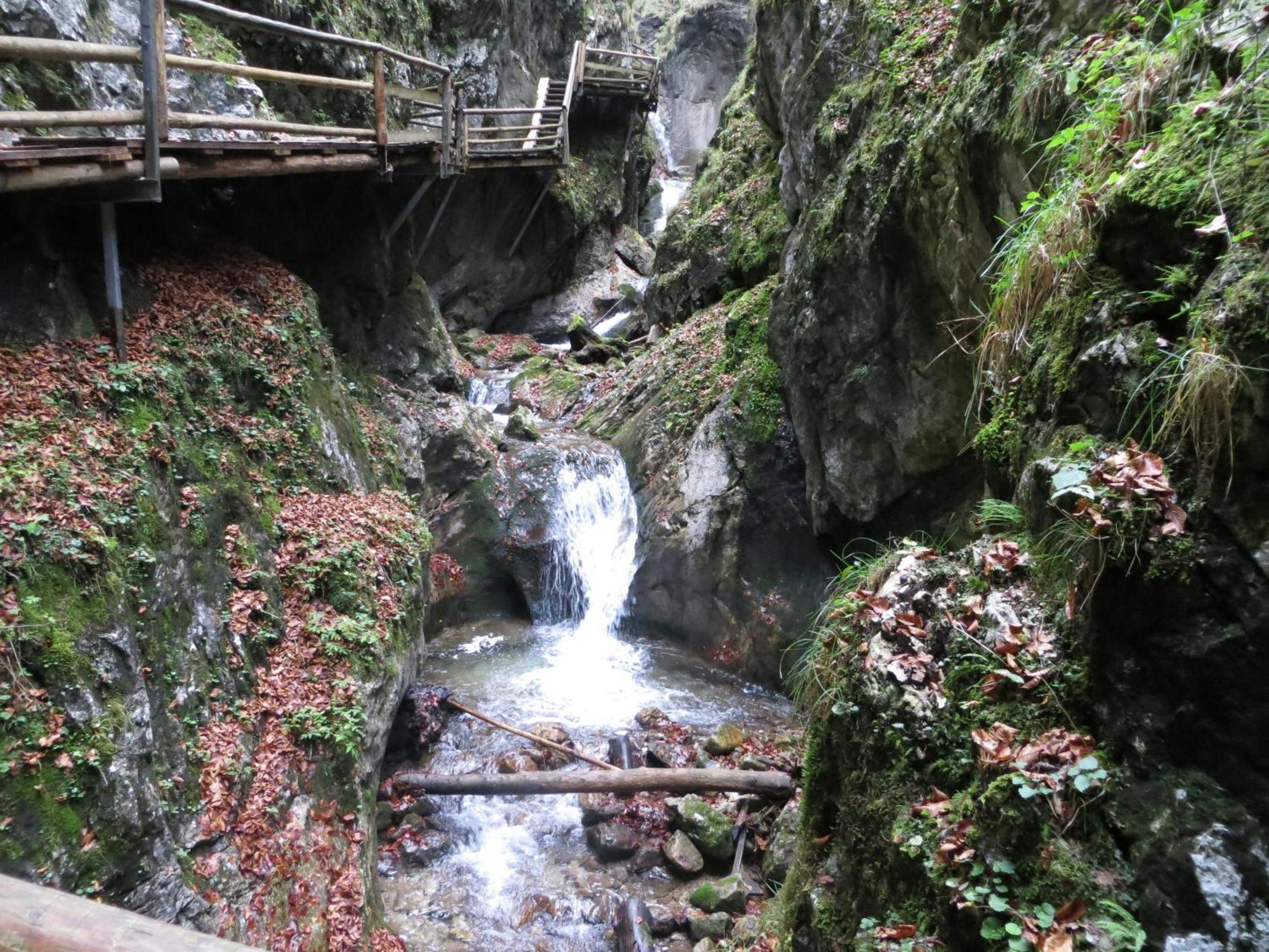 Ferienwohnung Pyhrgasblick Rosenau am Hengstpass Экстерьер фото