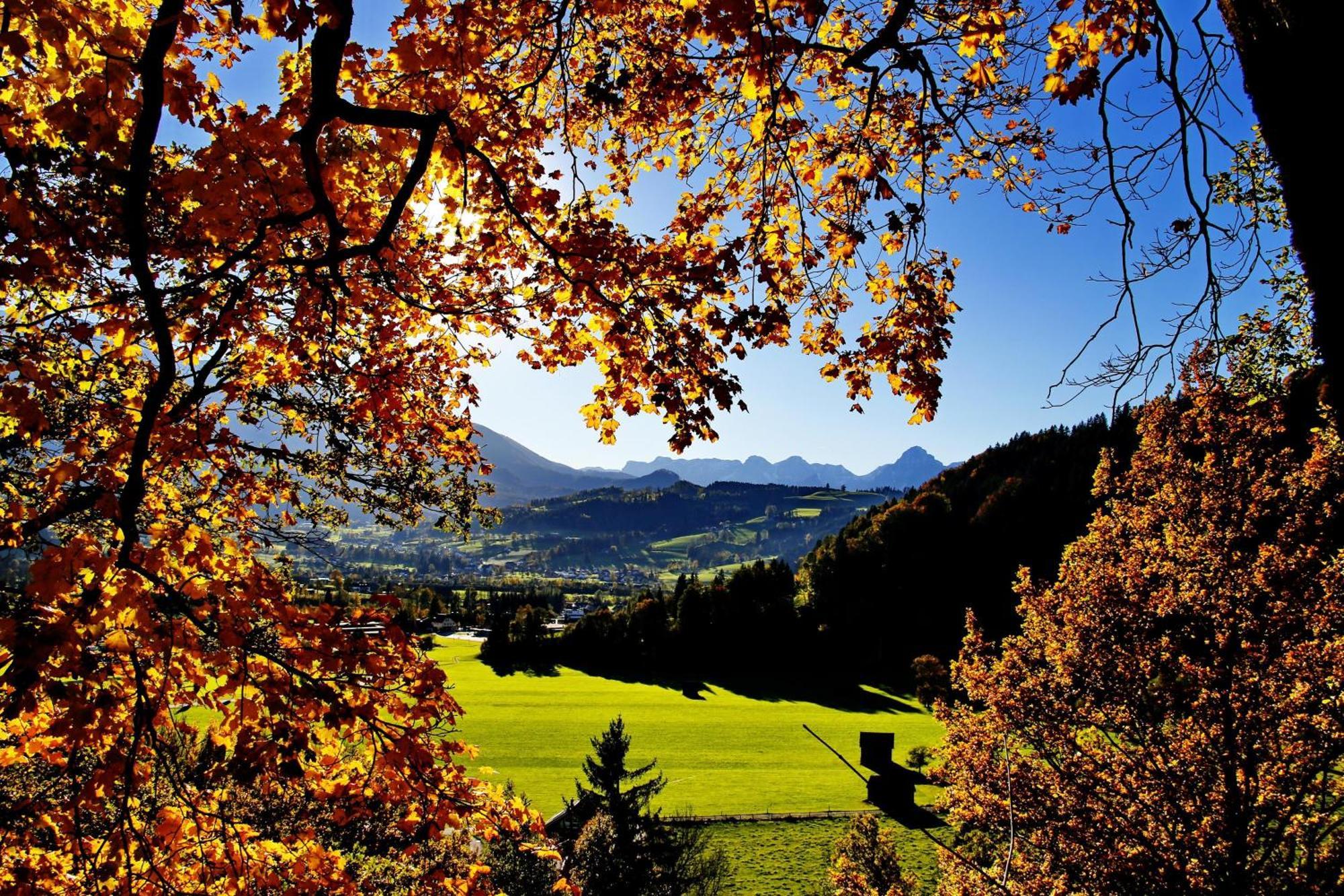 Ferienwohnung Pyhrgasblick Rosenau am Hengstpass Экстерьер фото
